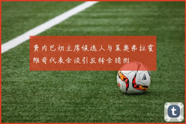 费内巴切主席候选人与莱奥弗拉霍维奇代表会谈引发转会猜测