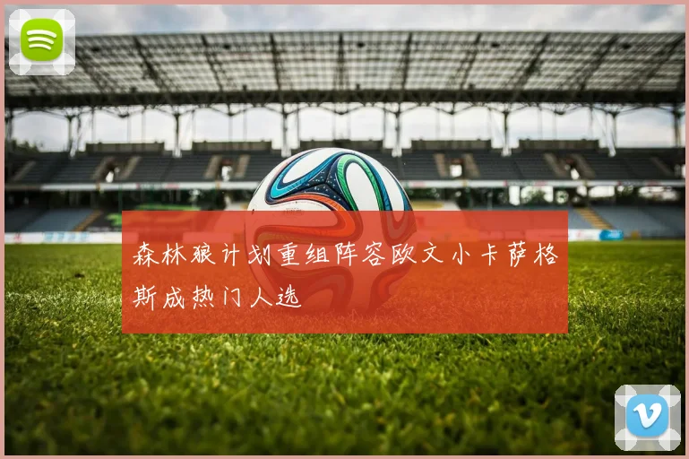 森林狼计划重组阵容欧文小卡萨格斯成热门人选