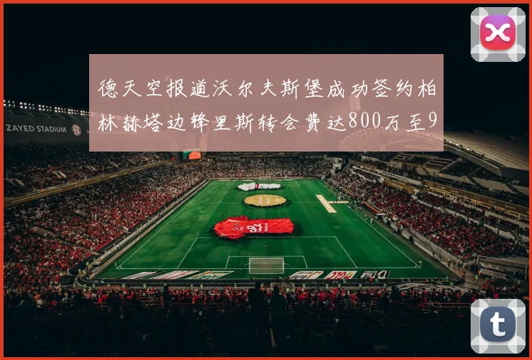 德天空报道沃尔夫斯堡成功签约柏林赫塔边锋里斯转会费达800万至900万欧元