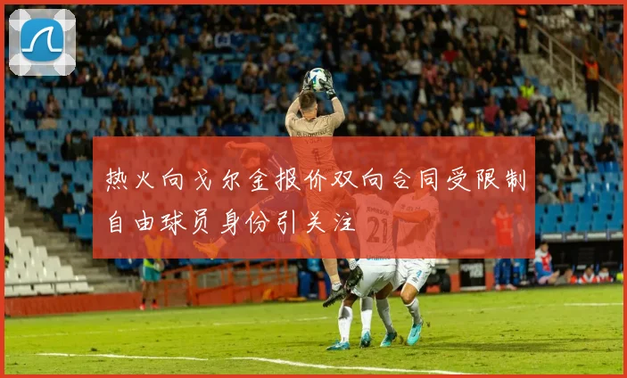 热火向戈尔金报价双向合同受限制自由球员身份引关注
